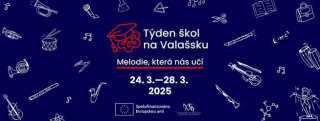 Prohlaseni o zapojeni