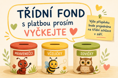 Třídní fond - platba - vyčkejte